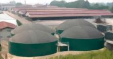 Planta de cogeneración de Biogas