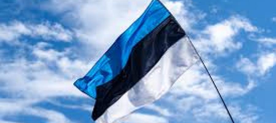 Bandera de Estonia